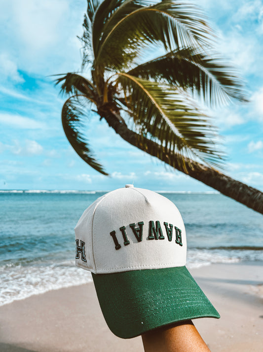 Upside Down Hawaii Baseball Hat