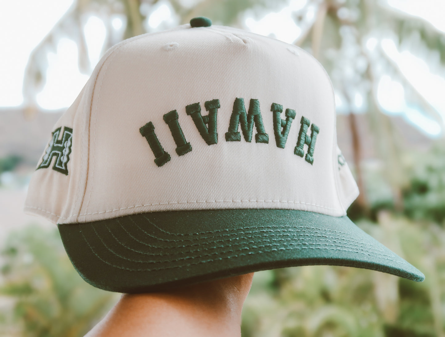 Upside Down Hawaii Baseball Hat 2.0